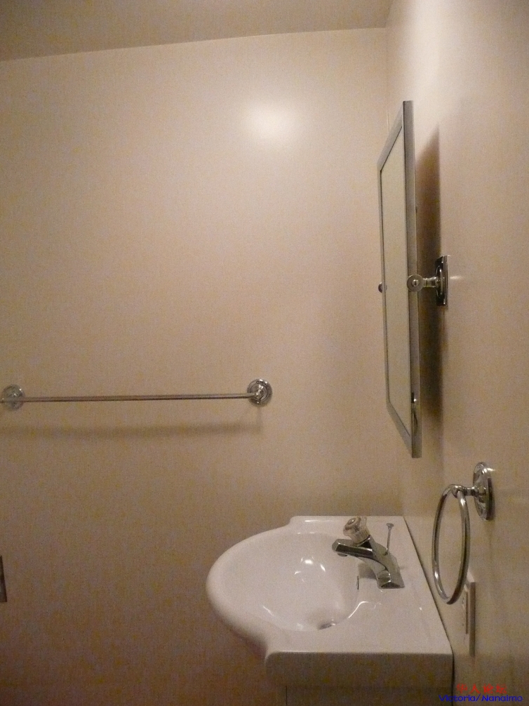 Suite bathroom #1.JPG
