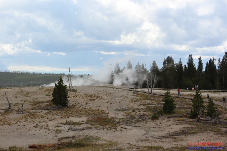 yellowstone 626.JPG