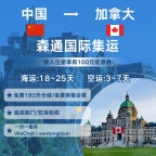 专业跨境物流—中国寄加拿大海运｜空运全境专线，送货上门一站式服务，双清包税