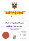 【办理UWA文凭证书|本科毕业证】1825214279微Q伪造澳洲西澳大学硕士学位认证留信网真实可查