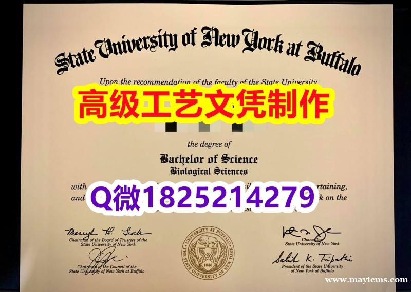 【办理UB文凭证书|本科毕业证】1825214279微Q伪造美国纽约州立大学布法罗分校大学硕士学位认 【办理UB文凭证书|本科毕业证】1825214279微Q伪造美国纽约州立大学布法罗分校大学硕士学位认