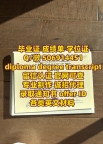 【学校原版一致 防伪工艺齐全】【Q微506914451】美国伊利诺伊大学厄巴纳—香槟分校UIUC毕业