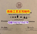 【办理MIT斯隆管理学院本科毕业证和成绩单】1825214279微Q伪造美国斯隆管理学院大学硕士学位