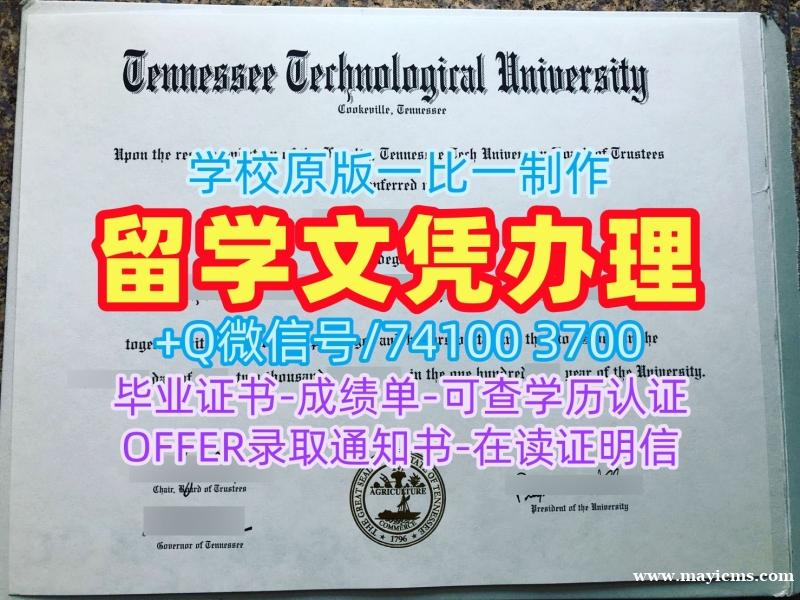 原版制作田纳西理工大学硕士文凭证书|Tennessee Tech成绩单急速办理Tennessee Technological University Office Transcript 原版制作田纳西理工大学硕士文凭证书|Tennessee Tech成绩单急速办理Tennessee Technological University Office Transcript