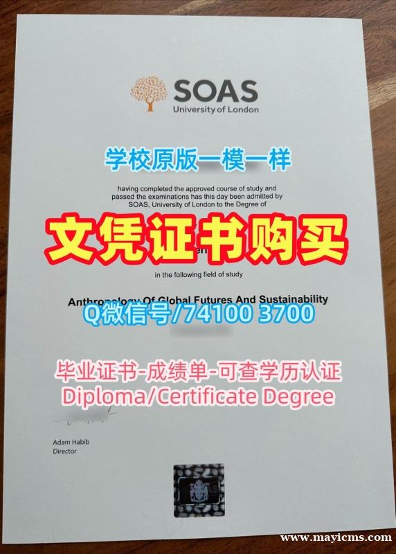 英国文凭学历证书原版复制|伦敦大学亚非学院研究生毕业证学分不够|SOAS双学位证书1比1复刻 英国文凭学历证书原版复制|伦敦大学亚非学院研究生毕业证学分不够|SOAS双学位证书1比1复刻