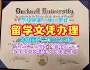 美国文凭毕业证永久可查|巴克内尔大学研究生毕业证书办理|Bucknell本科学位官方认证