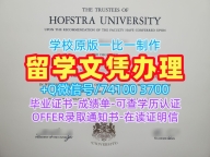 原版定制霍夫斯特拉大学硕士毕业证书|Hofstra成绩单做Hofstra University Degree
