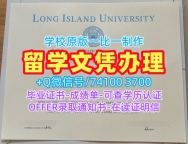 美国本科毕业证书制作/长岛大学毕业证书PDF电子版学位证书范本学分不够LIU文凭证书设计 Long Island University Offer