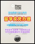加拿大文凭证书急速办理/尼亚加拉学院毕业证学位证书原版制作Niagara文凭证书英文 Niagara College admission letter