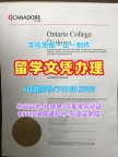 加拿大硕士文凭证书定做|卡纳多学院毕业证书样板哪里办理|Canadore本科学位证书存档可查