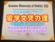 美国文凭英文在线制作|卡尼休斯大学毕业证书PDF电子版官方认证|Canisius学位证书电子版真实可查