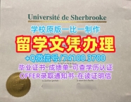 原版复制舍布鲁克大学电子版成绩单|UdeS硕士毕业证书学分不够Université de Sherbrooke Offer letter