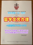 英国电子版成绩单如何购买/埃塞克斯大学毕业证书PDF电子版成绩单密封邮寄定制Essex文凭学历证书 University of Essex Offer letter