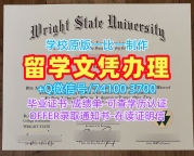 学分不够莱特州立大学文凭学历认证|Wright State在读证明信办Wright State University Offer letter