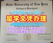 真实可查纽约州立大学布洛克波特学院学位证书|Brockport毕业证1:1制作The College at Brockport, SUNY Offer letter