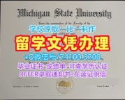 美国本科文凭证书办理/密歇根州立大学毕业证实拍图学位证书实拍图急速办理MSU本科学历证书 Michigan State University Offer