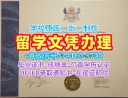 加急制作温哥华岛大学学位证书|VIU学士学位证书定制Vancouver Island University Bachelor Diploma