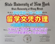 出售纽约州立大学石溪分校成绩单|Stony Brook在读证明信哪里卖Stony Brook University Diploma