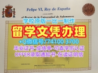 补办大学文凭成绩单!办理萨拉曼卡大学文凭学历认证西班牙USAL毕业文凭证书 Master Degree