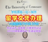 美国文凭毕业证原版定做|田纳西大学查塔努加分校研究生毕业证书定做|UTC转学成绩单在线制作