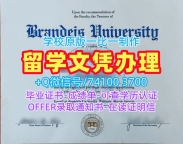 国外文凭学历认证专业名称!仿制布兰代斯大学本科文凭证书美国Brandeis本科学历证书 Bachloer Degree