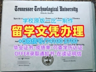 原版制作田纳西理工大学硕士文凭证书|Tennessee Tech成绩单急速办理Tennessee Technological University Office Transcript