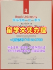 加拿大文凭英文哪里卖|布鲁克大学毕业证认证1比1制作|Brock硕士学位学校原版