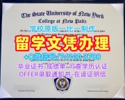 美国学历证书定做|纽约州立大学新帕尔茨学院研究生毕业证哪里办理|New Paltz学位证书存档可查