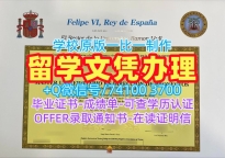 西班牙毕业文凭证书仿制|拉蒙鲁尔大学毕业证书电子版原版复制|URL本科学位做