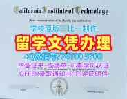 美国大学假文凭!学分不够加州理工学院硕士毕业证书美国Caltech硕士学历证书 Master Diploma