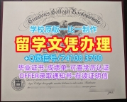 办理海外大学毕业证!一模一样波士顿学院文凭证书美国BC文凭学位证书 Office Transcript