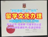 加拿大研究生文凭证书1:1制作|纽芬兰纪念大学毕业证书案例1比1定做|MUN学位证书扫描件原版定做