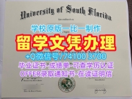 在线办理南佛罗里达大学硕士学位证书|USF文凭证书在线办理University of South Florida Bachloer Degree