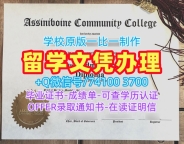 加拿大学位证书购买/阿希尼伯因社区学院毕业证和学位证荣誉学位证书如何办理ACC本科文凭 Assiniboine Community College Degree