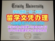 美国文凭毕业证论文没过|三一大学本科毕业证论文没过|Trinity双学位证书快速办理