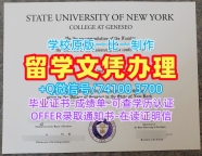 哪里购买纽约州立大学杰纳西奥学院学士学位证书|Geneseo电子版毕业证书哪里购买SUNY Geneseo Degree