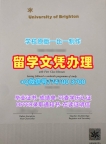 快速制作布莱顿大学成绩单|Brighton电子版成绩单1比1仿制University of Brighton Office Transcript