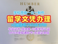 加拿大学士学位证书1比1复刻/汉伯学院毕业证书成绩单分数修改制作HC硕士文凭证书 Humber College Master Diploma