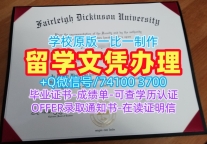 美国买学历!定制费尔雷狄更斯大学本科毕业证书美国FDU文凭毕业证 Transcript