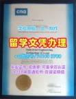 加拿大硕士学历证书哪里办理|北大西洋学院研究生毕业证高仿|CNA双学位证书哪里买