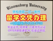 美国文凭证书英文购买|布卢姆斯堡大学毕业证书在线购买|Bloomsburg成绩单如何办理