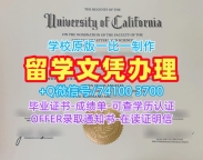 美国文凭证书设计如何购买|加州大学洛杉矶分校毕业证书范本存档可查|UCLA学位证书定制