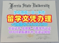 1：1制作费里斯州立大学电子版毕业证书|Ferris State学位证1比1定做Ferris State University Master Diploma