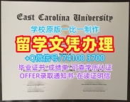 美国大学假文凭!存档可查东卡罗来纳大学成绩单美国ECU研究生文凭证书 admission letter