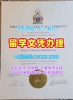 加拿大硕士学历如何办理|西三一大学毕业证和学位证哪里买|TWU毕业成绩单如何购买