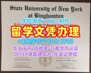 国外文凭推荐！哪里卖纽约州立大学宾汉姆顿分校毕业证书美国Binghamton学历学位证书 Transcript