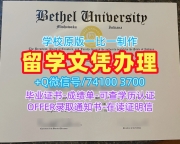 美国硕士学历证书在线购买|伯特利大学研究生毕业证原版复刻|Bethel学位证书扫描件原版定做