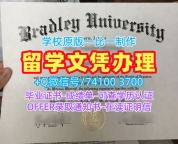 加急办理布拉德利大学文凭证书|Bradley硕士文凭证书原版定制Bradley University Offer letter