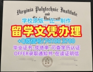 美国硕士学位证书如何购买/弗吉尼亚理工大学毕业证书扫描件学位证书样板定制VT文凭证书设计 Virginia Tech admission letter