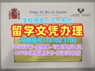 国外大学文凭！在线购买巴斯克大学硕士毕业证书西班牙UPV文凭学历证书 Diploma